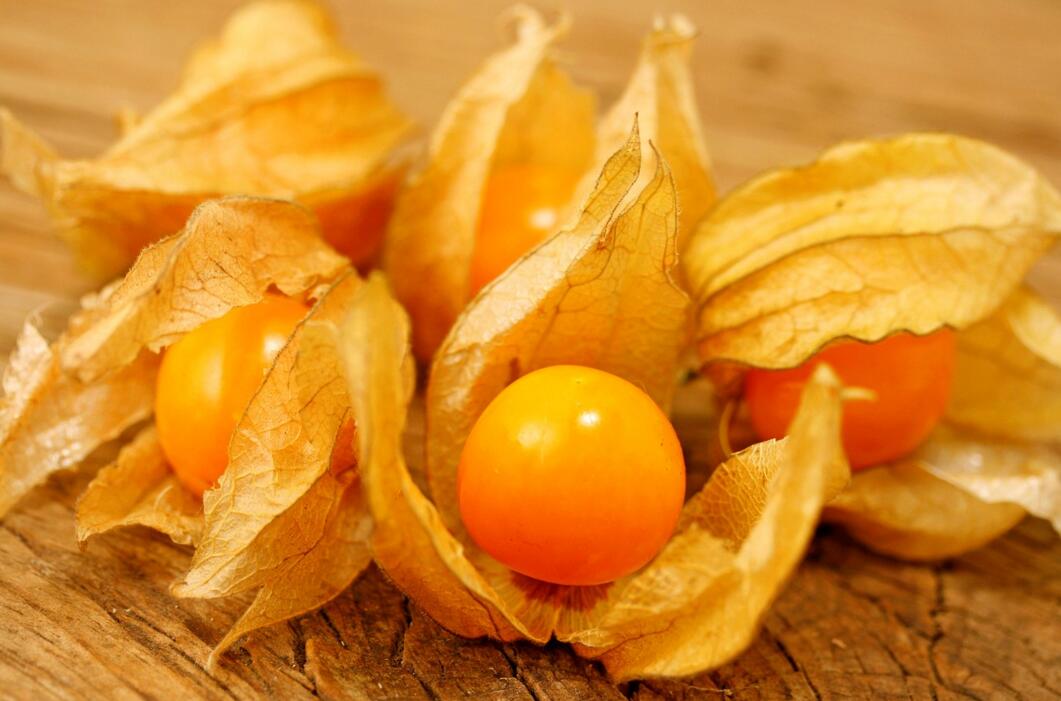 農(nóng)業(yè)自動氣象站助力菇娘規(guī)?；N植